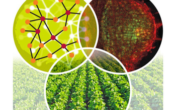 Graphical illustration showing a land of greens and molecular structures